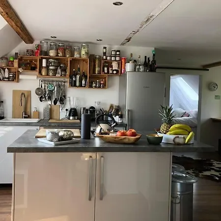 Idyllische Ferienwohnung Mit Rheinblick Lejlighed Köln