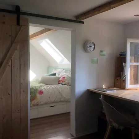 Idyllische Ferienwohnung Mit Rheinblick Lejlighed *